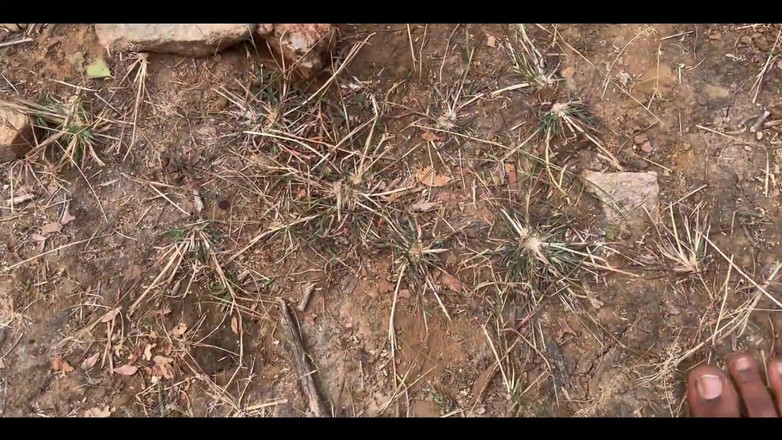 Indian Senu: Desi lokales dorf-teen-mädchen im freien