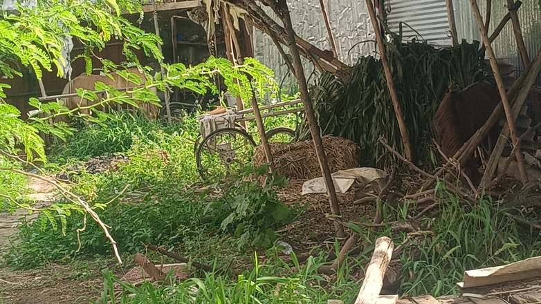 Inba: Трах на улице