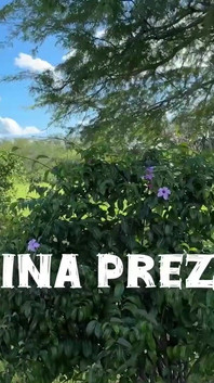 Here the News Is Frequent, Come Play in the Hottest Trans House in the World, News Every Week, Lots of Sex.