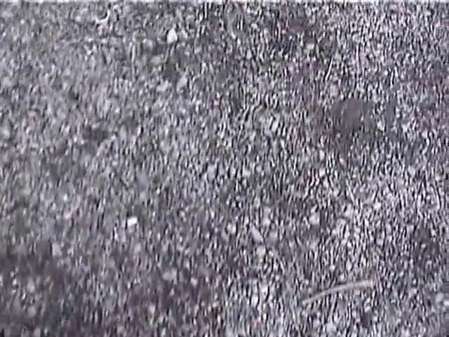 Radical: Teenagers outdoors fucking hard