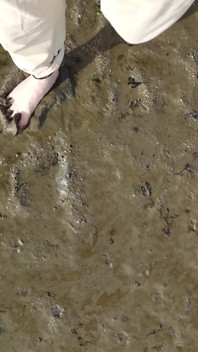 Krátký test na bahnitých plochách na pláži Horumersiel