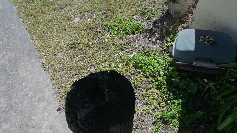 Miss Ellie Roleplay: Submisivní lízání špinavých nohou Omluva