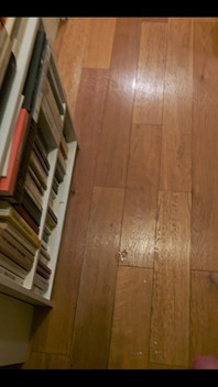 Made My Floor Sticky ‍