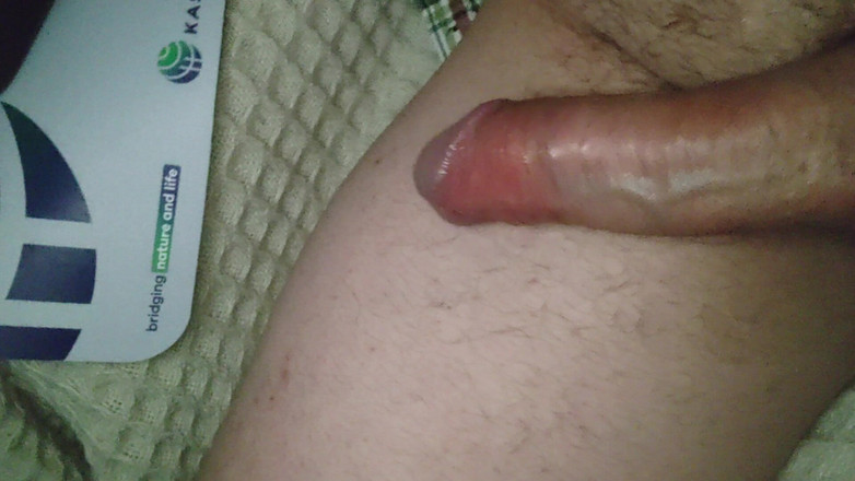 Mr-MadTeacher: Lavoro con giocattolo e sega