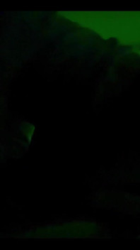 Sinnovator Introduced Me to Sean