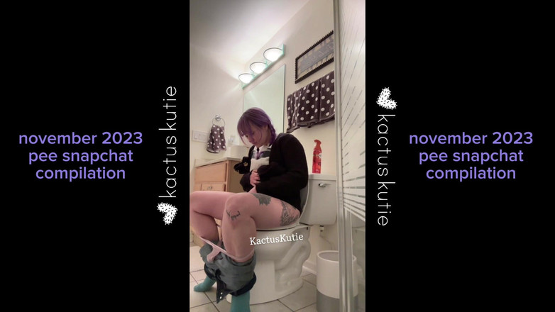 kactus kutie: 2023年11月撒尿汇编