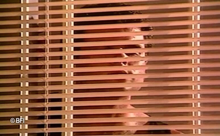 Horny Teenies: Nasty Girls Dvd