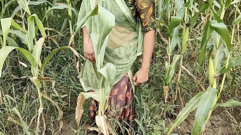 Fuckkkker: Chica india del pueblo robaba maíz, el dueño de la...