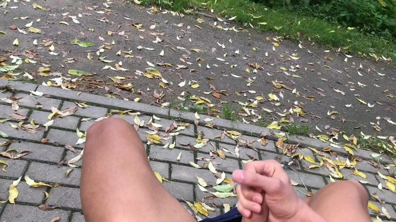 Extremalchiki: Masturbare pe bancă în City Park