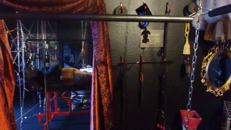 Queen_of_BDSM: Herrin Nadelt Deinen Hodensack!