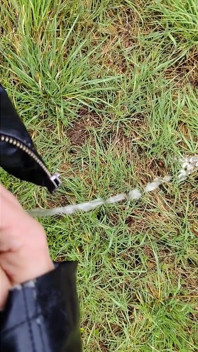 Chỉ cần một litte bit đi tiểu kiêm trộn thưởng thức