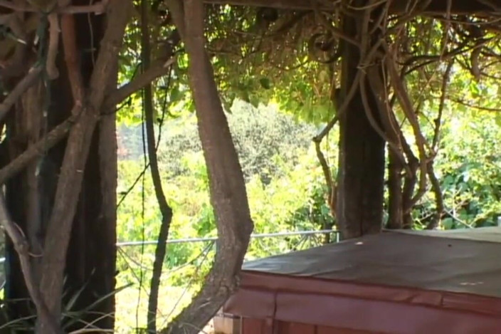 American Idol X: Sodomie dans le jardin