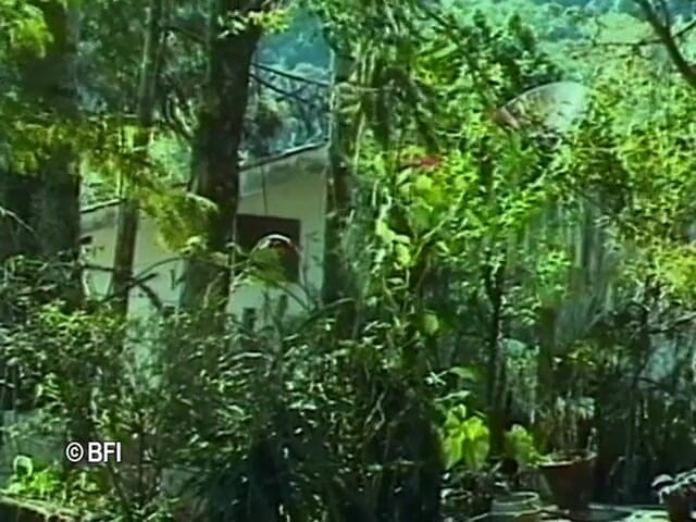 Ladyboy Paradise: Brasilianische transe