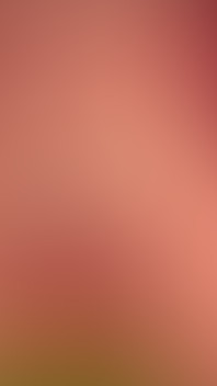 BBC Delight 3