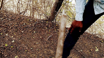 Ash hot studio: Jungle My Mangal 2