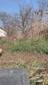 Giganta jardinera se enloquezla, planta un pequeño hombre