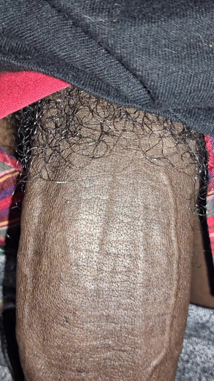 Chocolate Meat Stick: Close up on These Thick Veins