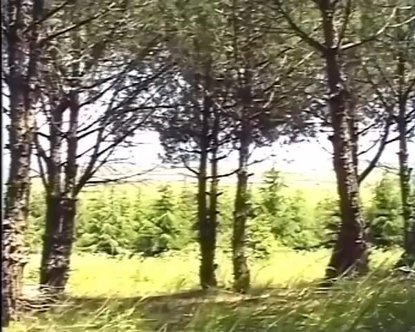 GERMAN PORN CLASSICS: Happy Holliday - Genzenlos Im Urlaub Gefickt