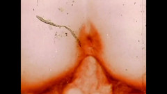 Vintage megastore: Putas comem o chefe