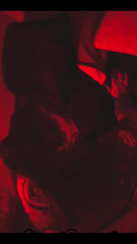 Red Light Nikki Cakes