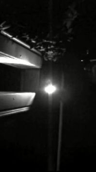 Trailer 461