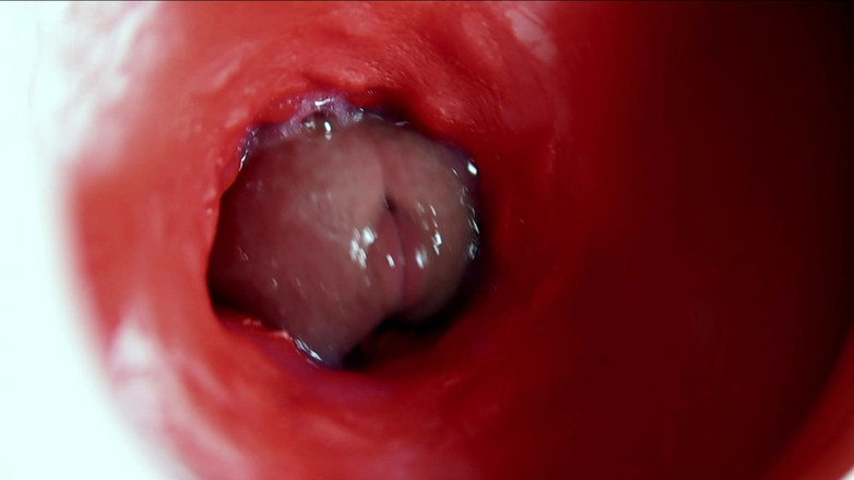 SEXY_GUYBEST: 一根美丽的大鸡巴大量流进湿润的湿润小穴并被狠操！