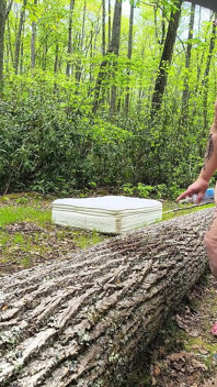 Treedildo hoppning har hennes fitta spruta slarvig