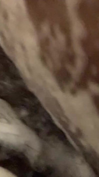 Soapy Shower Massage for a Purrrfectly Clean Pussy