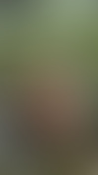 We Got Caught Fucking at a Waterfall with Facial & Cumwalk