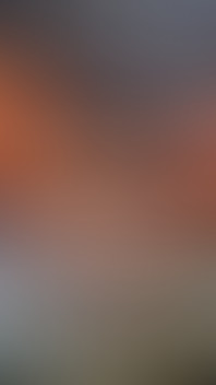 Need the Double Dildo