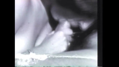 Vintage Megastore Full hd: Los Gozones Saca Leches