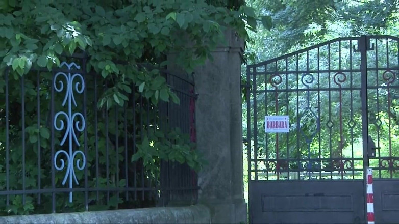 Muschi movie official: 寝室でセクシーな金髪熟女