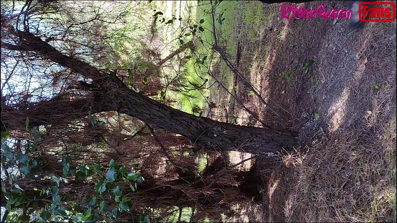 Riderqueen: Riderqueen nur für dich, Videos für Fans und Follower