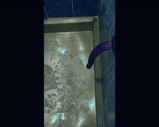Robert Douglas: Back in the Shower, Playing with My Anus Again...