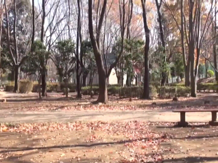Vulture: Старенька в парку виглядала нудьгуючою, але, виявляється, вона чекала, поки до неї підійде хтось, як я