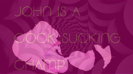 Campsissyboi: John je šampiónka sání ptáků