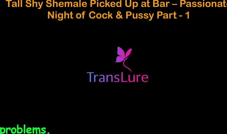 TransLure: English Audio Sex Story - Tall Shy Shemale Picked up at...