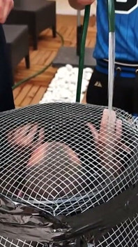Używany przez dwóch młodych macho mężczyzn