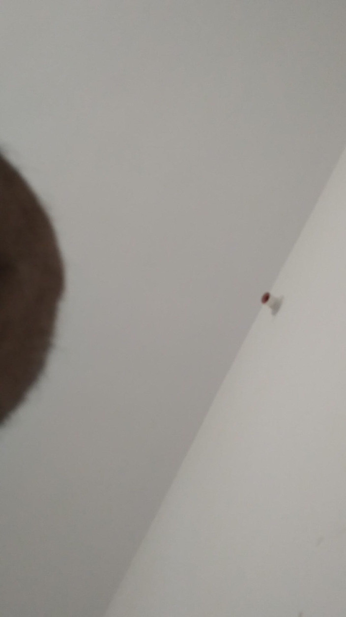 Saggyhardcore: 내 침실에서 내 집에서 섹스하는 핫한 소녀Freind 1부