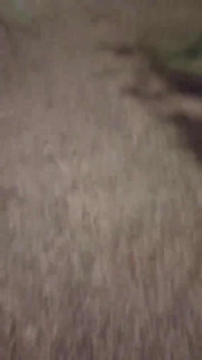 Vida Noite: 户外性爱，所有性爱，现在允许在我的公寓里