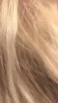 The Not Very Pretty Blonde.