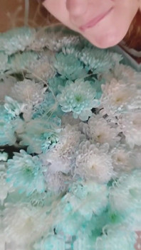 Bouquet of Flowers