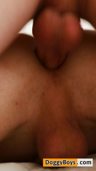 Bareback Boys Lust for Cock