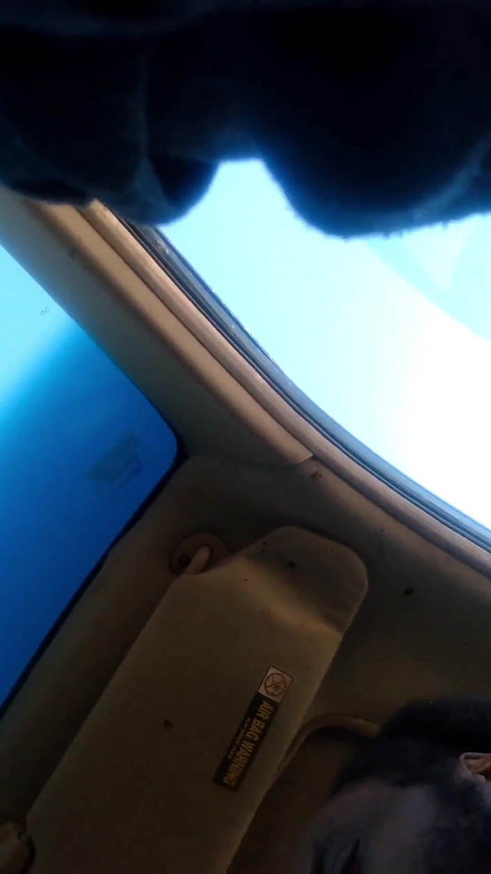 Anal_Angi_Rose: 1000017017.mp4