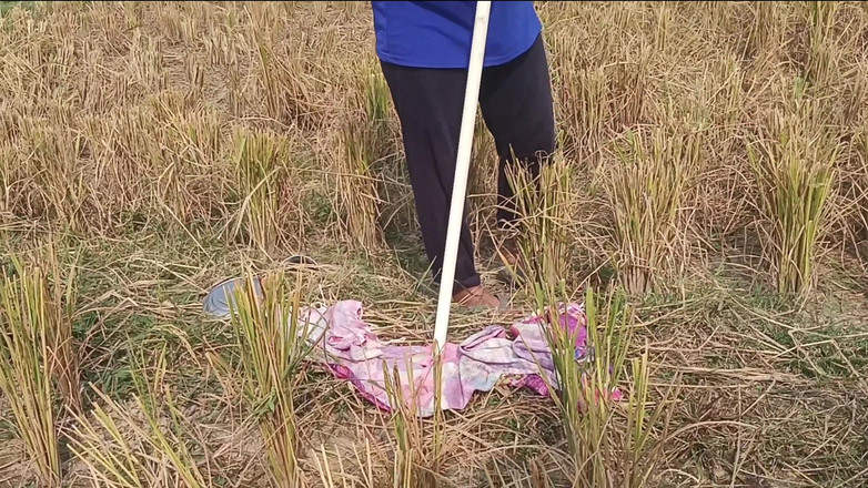 MHM: Sau một ngày dài trên cánh đồng - 4k làng thực sự lãng...