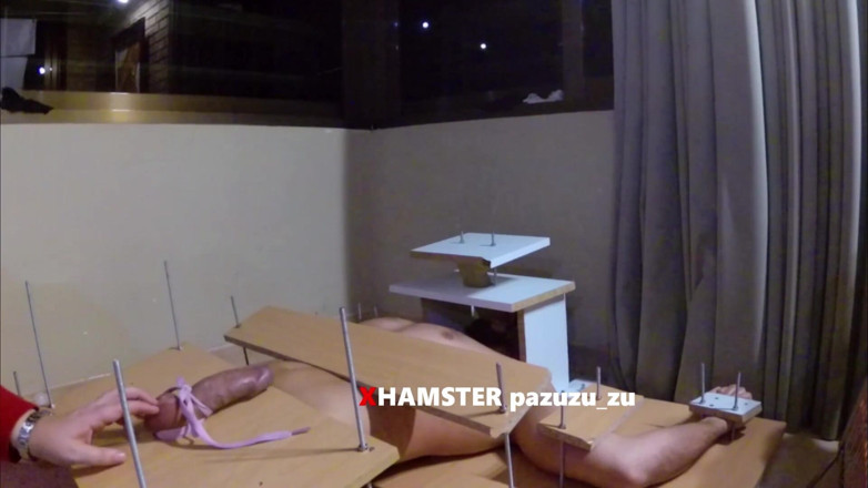 Pazuzu_zu: Amateur CFNM femdom cbt handjob with tied cock. Ruined orgasm
