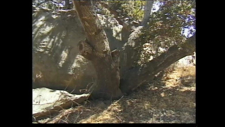 Forte porno TV xxx - (Just the best full movies): Mila Con Sus Chicos(pelicula)