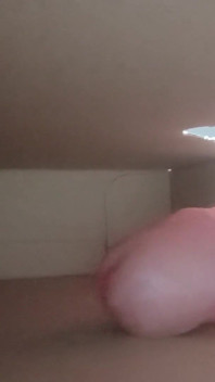 Dick in Box