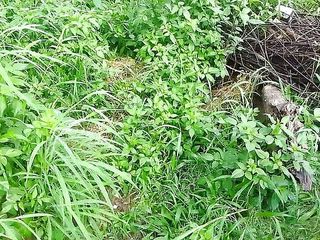 Xhamster stroks: Kafia namorado mijar em grama verde
