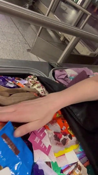 Nackte möpse am Flughafen
